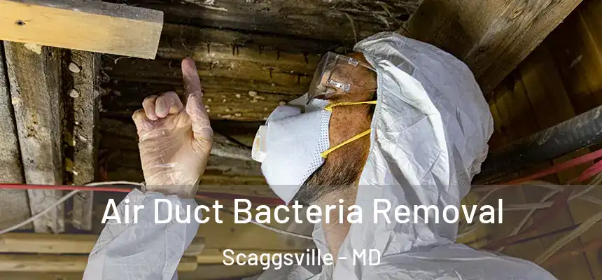 Air Duct Bacteria Removal Scaggsville - MD
