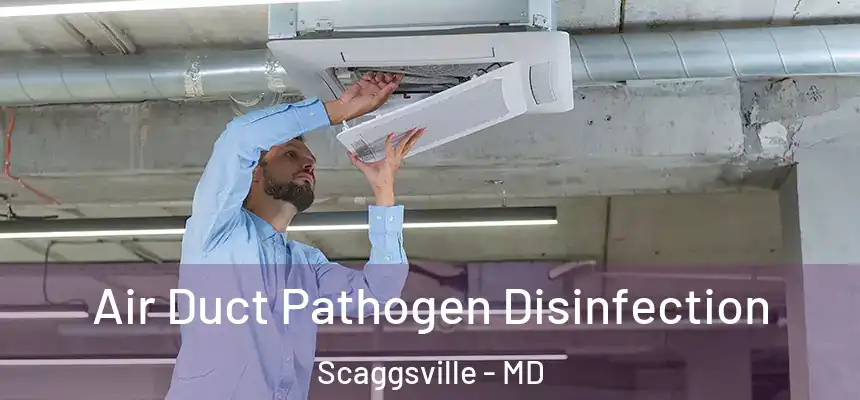  Air Duct Pathogen Disinfection Scaggsville - MD