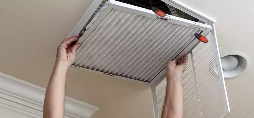 Preventive Cockroach-Proofing for Ducts in Scaggsville