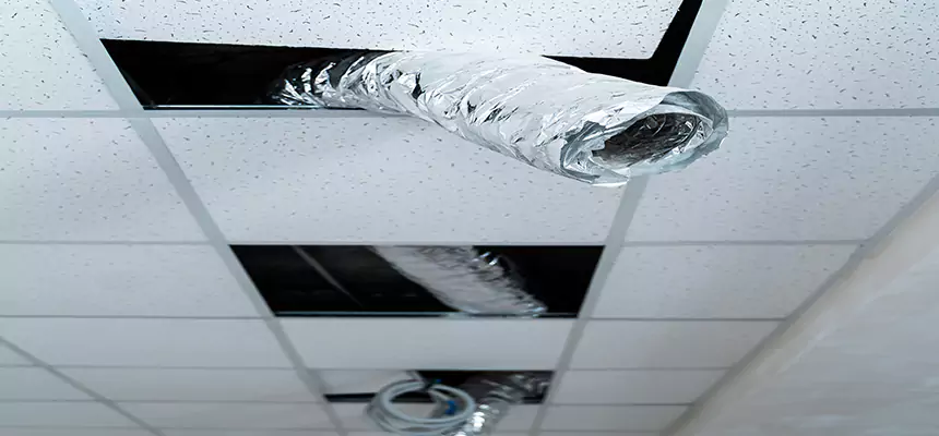 Our Air Duct Pet Hair Removal Services in Scaggsville, MD