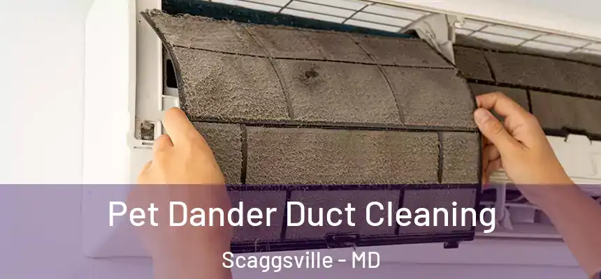 Pet Dander Duct Cleaning Scaggsville - MD