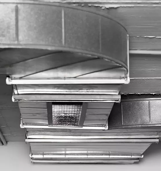 Professional Air Duct Pet Hair Removal in Scaggsville, MD