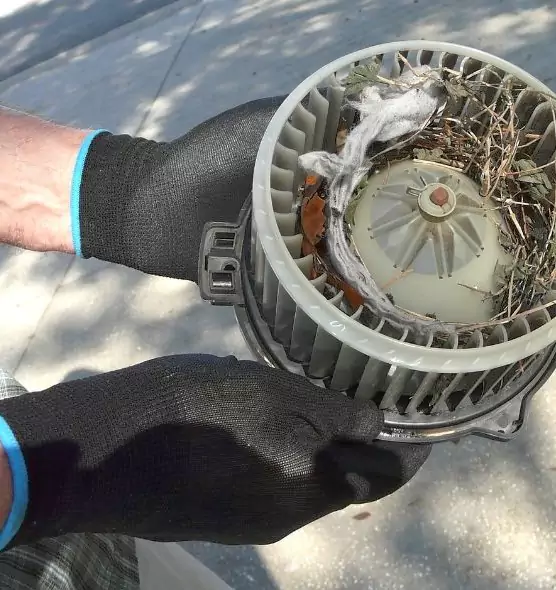 About Air Duct Rat Removal in Scaggsville, MD