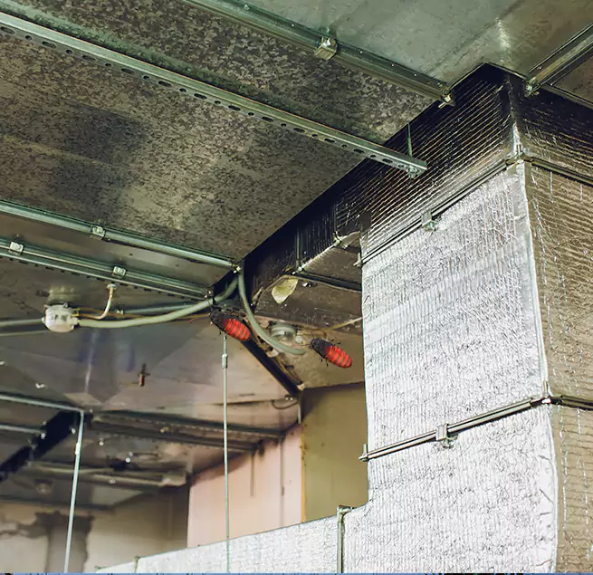 Why Homeowners & Businesses Trust Us in Scaggsville, MD?