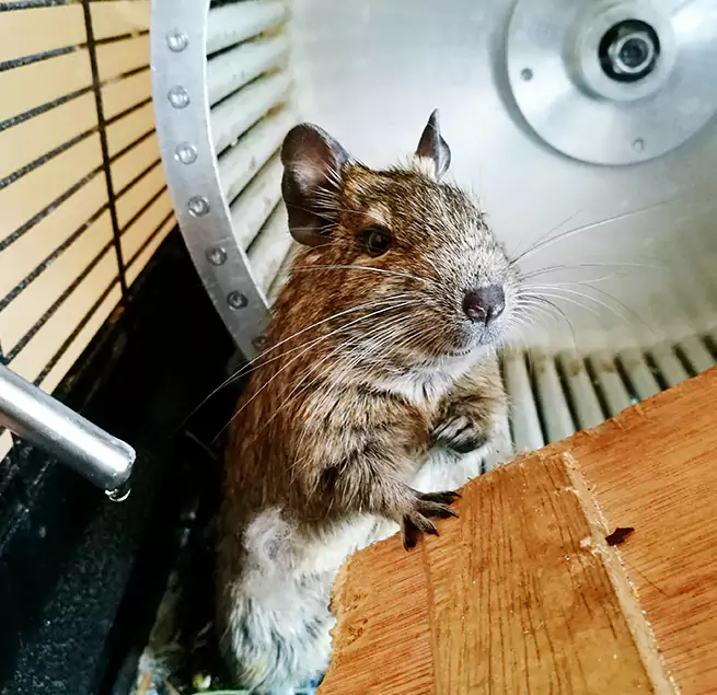 Why Homeowners & Businesses Trust Us Scaggsville, MD