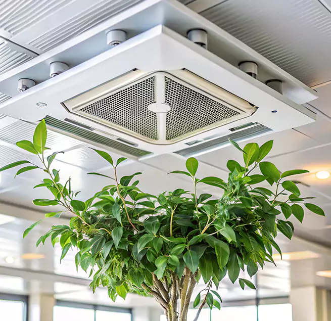 Why Homeowners & Businesses Trust Us in Scaggsville, MD